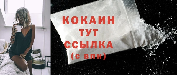 винт Ельня