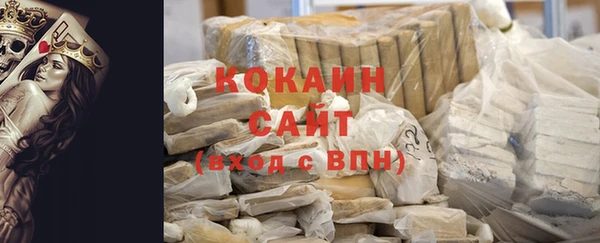 винт Ельня