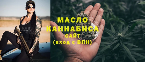 винт Ельня