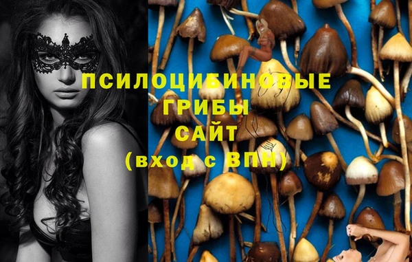 винт Ельня