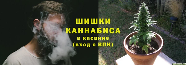 винт Ельня