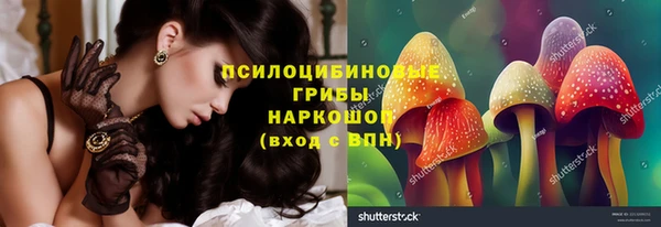 прущая мука Елабуга