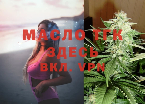 винт Ельня