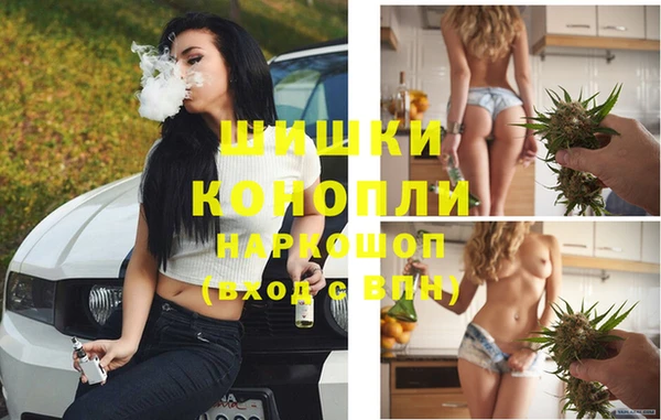 спайс Елизово