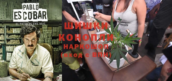 спайс Елизово