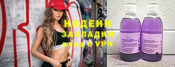 винт Ельня