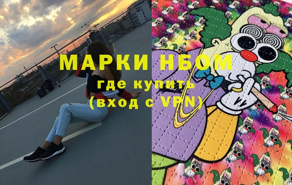 винт Ельня