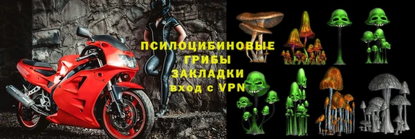 прущая мука Елабуга
