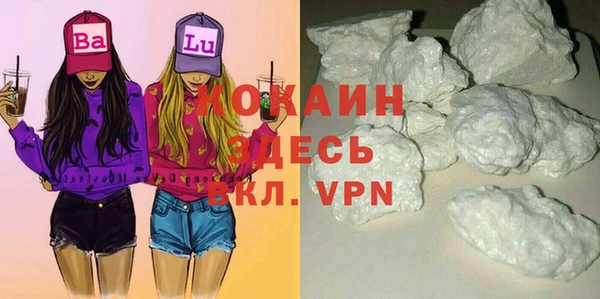 винт Ельня