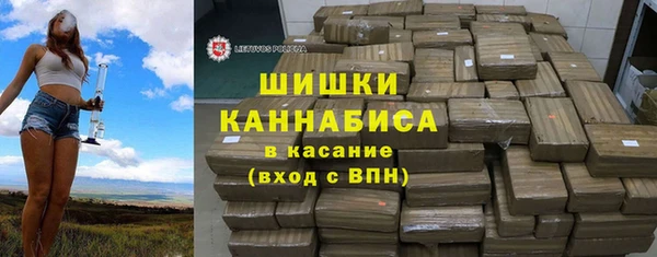 винт Ельня