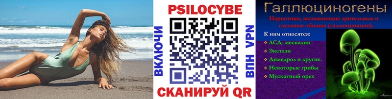 закладки  Иваново  Галлюциногенные грибы Cubensis 